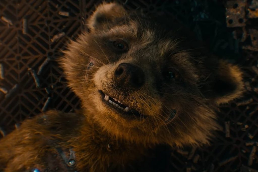 Imagen de Rocket Raccon extraida del trailer de Guardianes de la Galaxia volumen 3, donde se ve al personaje en sus primeros años de vida.